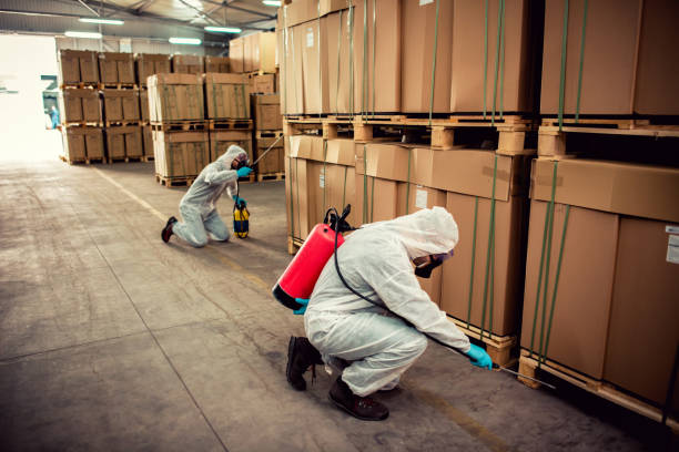 Best Bed Bug Extermination  in Barron, WI