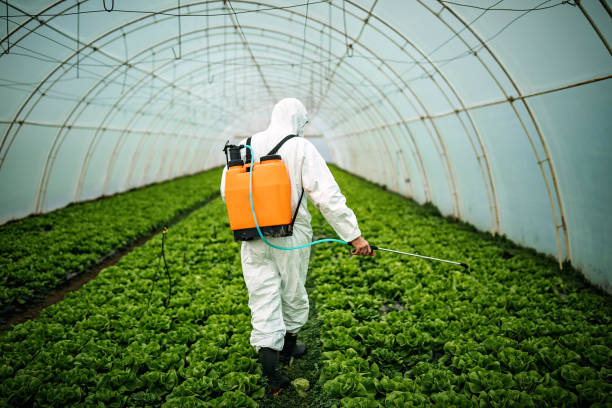 Best Pest Inspection Near Me  in Barron, WI