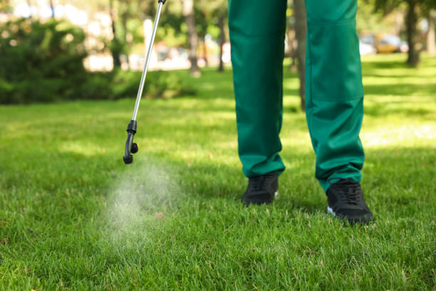Best Affordable Pest Control Services  in Barron, WI