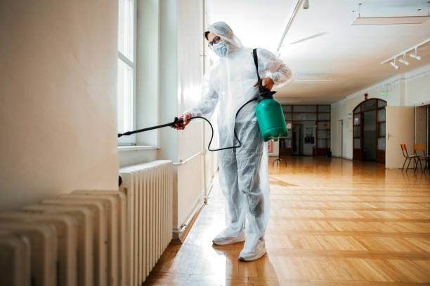 Best Termite Control Services  in Barron, WI